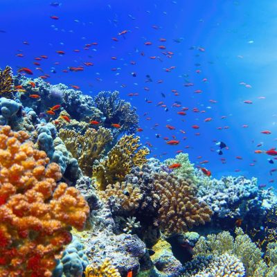 Hurghada