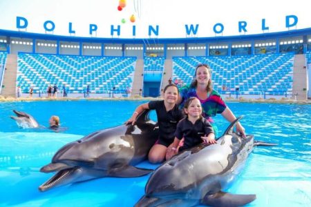 Swim with Dolphins Hurghada – 5-Minute Pool Experience with Expert Supervision