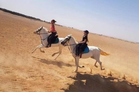 Horse Riding 2 Hours Hurghada – Ride in the Red Sea & Desert | Sunset Option